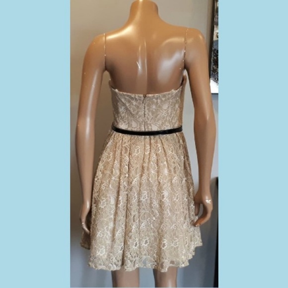 🩵MAX & CLEO Strapless Lace Dress Fit & Flare Bridal Shower Cocktail Neutral - Picture 5 of 12